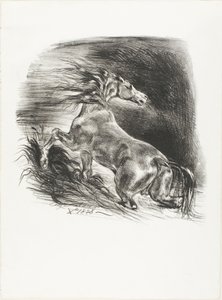 Caballo salvaje, o caballo asustado saliendo del agua de Eugène Delacroix