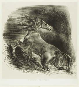 Caballo Salvaje o Caballo Asustado Saliendo del Agua de Eugène Delacroix