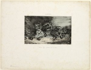 Joven Tigre Jugando con su Madre de Eugène Delacroix