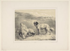seco honden Varios tamme dieren (título de la serie) Trece sujetos de animales domésticos y nativos (título de la serie) de Eugène Verboeckhoven