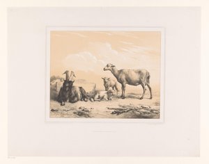 Cabra, oveja y dos corderos
Varios animales (título de la serie)
Études d