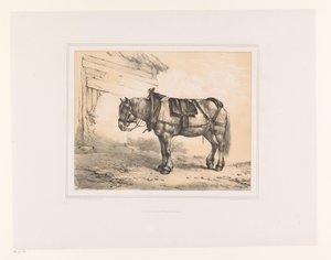 Caballo con silla de montar y cabestro
Varios animales (título de la serie)
Études d