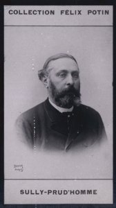 Armand Sully Prudhomme (1839) de European Photographer