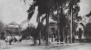 Brasil: San Paolo, Jardim da Luz (foto b/n) de European Photographer