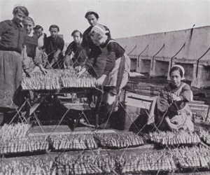 Secado de sardinas