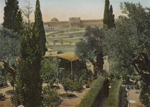 Jardín de Getsemaní