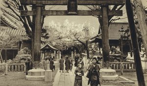 Japón, Calle en Tokio, época de floración de cerezos