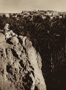 Oasis de Nefta (foto b/n)