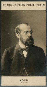 Robert Koch, Médico