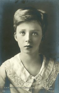 El duque de Brabante, príncipe Leopoldo de Bélgica de European Photographer
