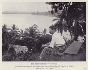 El Livingstone de hoy de European Photographer
