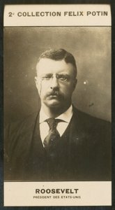 Theodore Roosevelt, Presidente de los Estados Unidos