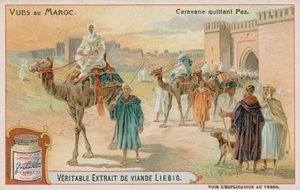 Una caravana saliendo de Fez de European School