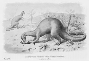 Un dinosaurio carnívoro, Megalosaurus Bucklandi de European School