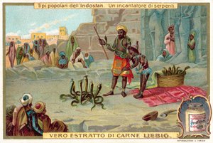 Un encantador de serpientes