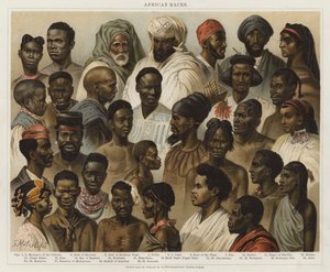 Razas Africanas