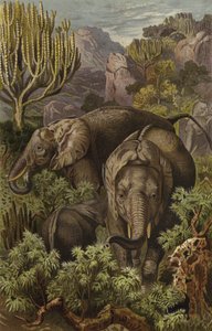 Elefante africano de European School