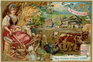 Agricultura de European School