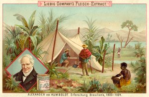 Expedición de Alexander von Humboldt a Sudamérica, 1800-1804 de European School