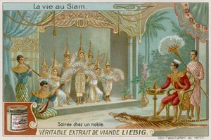 Fiesta vespertina de un noble