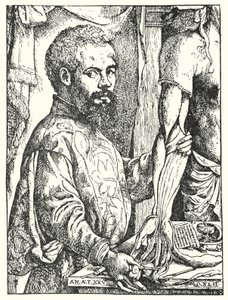 Andreas Vesalius (grabado)
