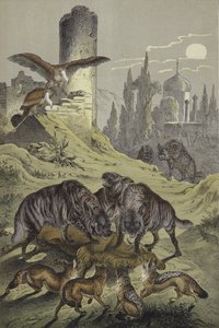 Animales del norte de África de European School