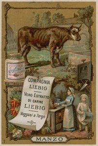 Carne de res de European School
