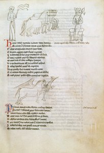 Bestiario: el caballo