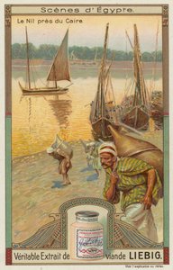 Barcos en el Nilo cerca de El Cairo de European School