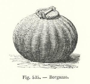 Borgazzo de European School