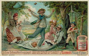 Caza de mariposas y picnic de European School