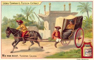 Caleza en Yucatán