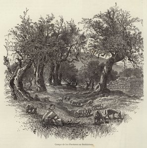 Campo de los Pastores en Belén de European School