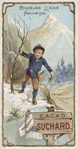 Carl Linnaeus, botánico y zoólogo sueco, de niño de European School