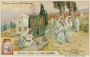 Cementerio Cerca de Blida en Argelia de European School