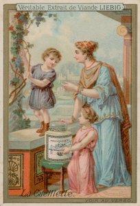 Colección de European School