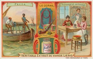 Coral de European School
