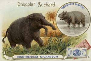 Deinotherium Giganteum e hipopótamo