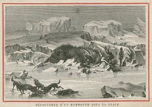 Descubrimiento de un mamut lanudo bajo el hielo de European School