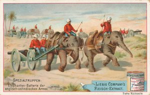 Soldados ingleses tirados por elefantes en la India, tarjeta Liebig, principios del siglo XX (cromo) de European School
