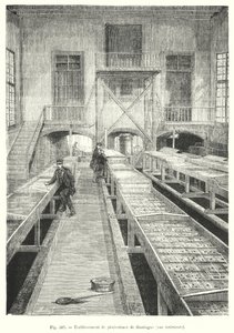 Establecimiento de piscicultura de Huningue, vista interior de European School