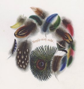 Plumas