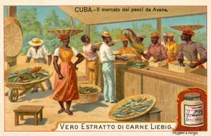Mercado de pescado de La Habana, Cuba de European School