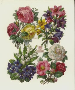 Flores (cromolito) de European School