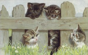 Cuatro gatitos junto a una valla (cromolito)