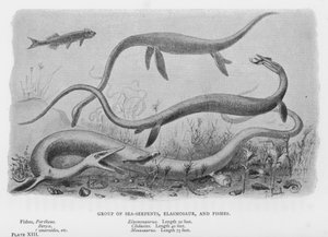 Grupo de serpientes marinas, Elasmosaurio y peces