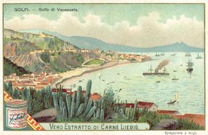 Golfo de Venezuela