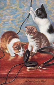Postal humorística de gatos (litografía en color) de European School