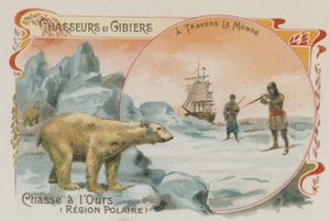 Caza de osos polares