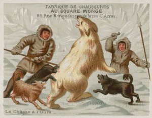 Caza de osos polares con perros de European School